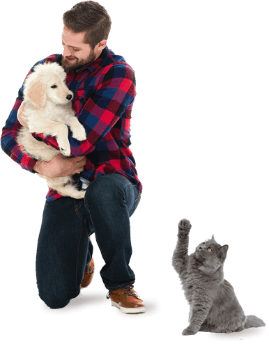 Man with two cats, enjoying peace of mind in their home.